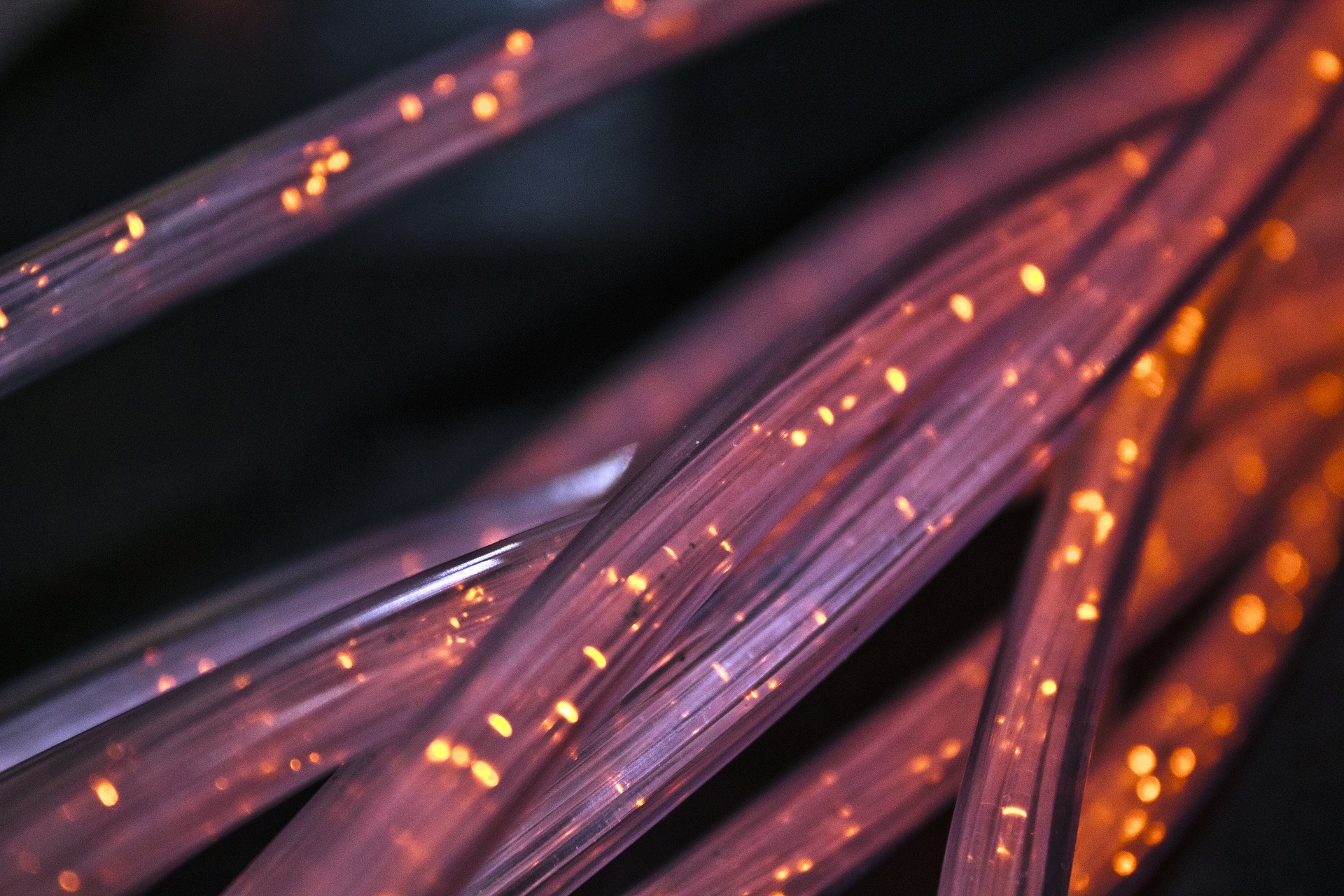 Government Solution 1 fiber-4814456_1920